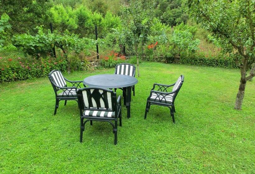 酒店 Apartamentos Javier