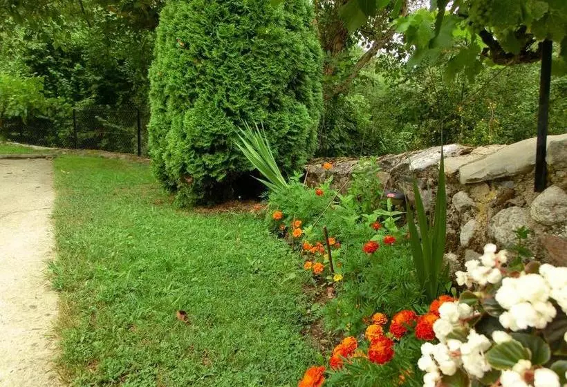 ホテル Apartamentos Javier