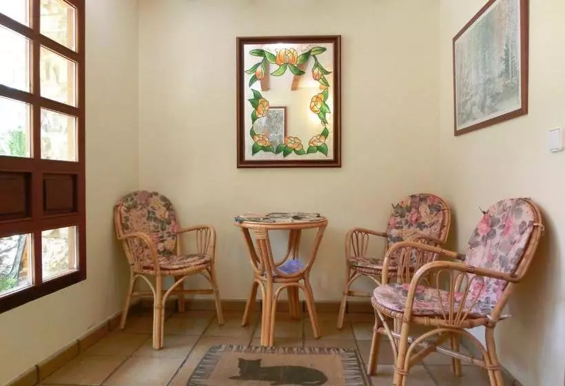 ホテル Apartamentos Javier