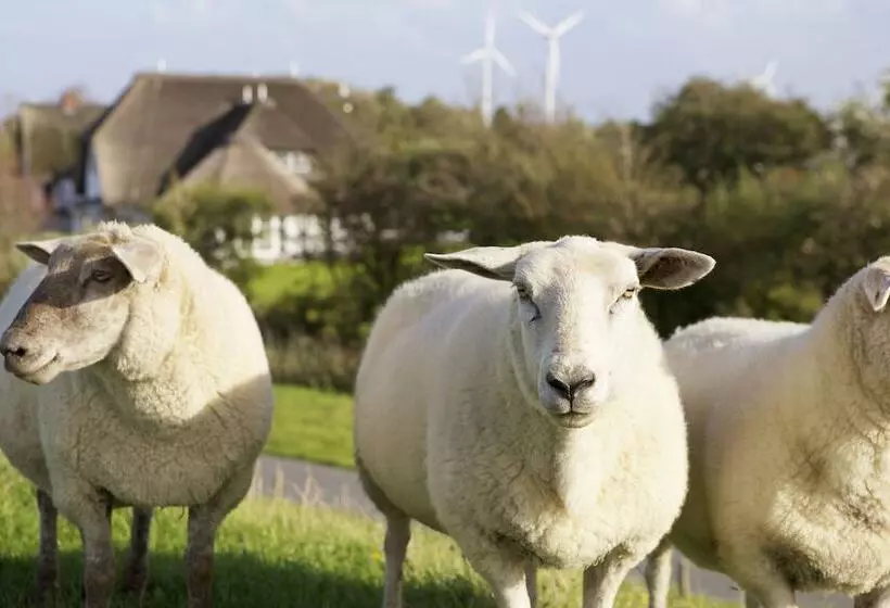 فندق Und Spa Lundenbergsand