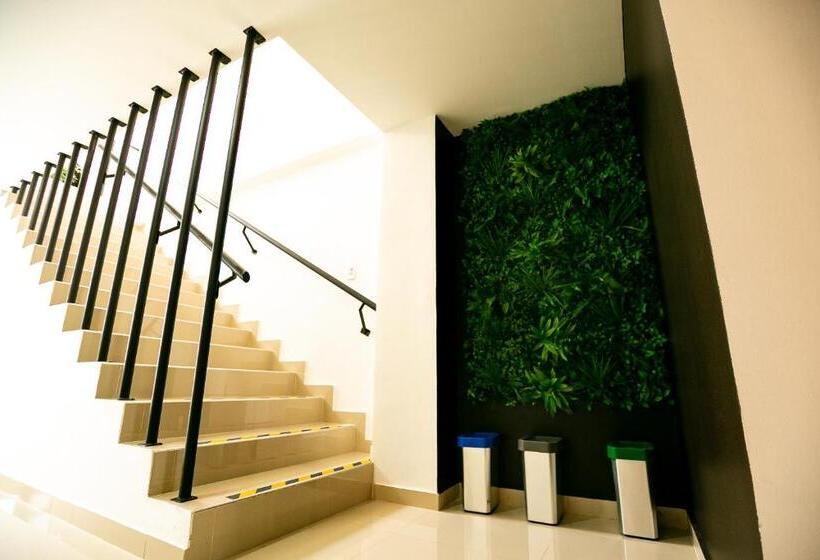 پانسیون Orange Wild