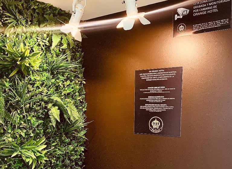 پانسیون Orange Wild