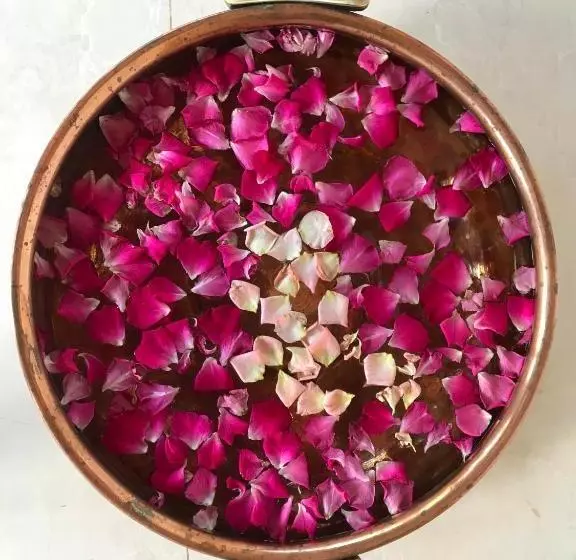 Lomakeskus Akasa Goa