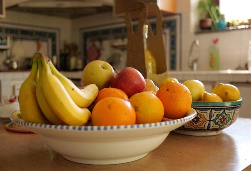 Bed & Breakfast Montségur