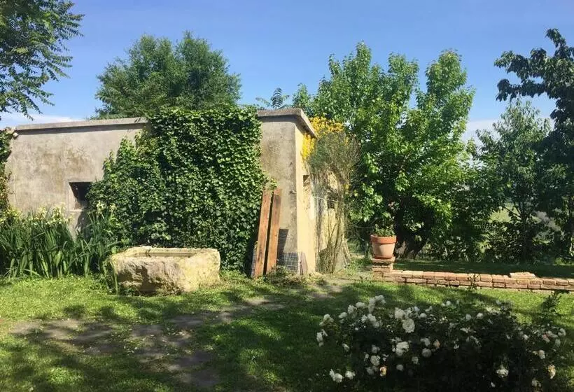 Bed & Breakfast Montségur
