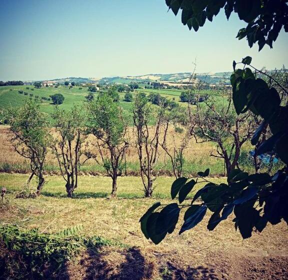 Bed & Breakfast Montségur