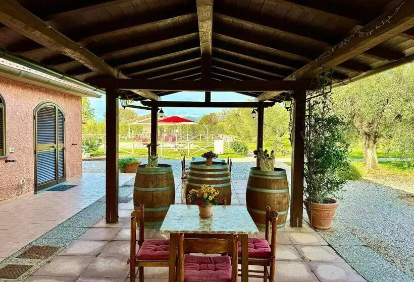 ホテル Agriturismo Re Di Fiori