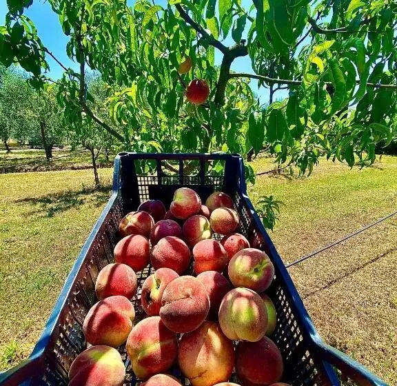 ホテル Agriturismo Re Di Fiori