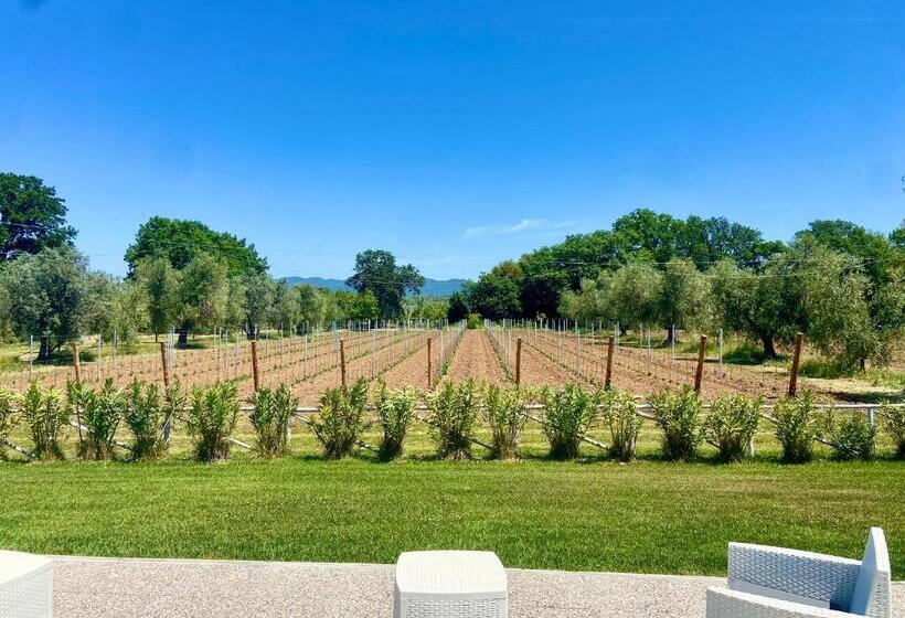 호텔 Agriturismo Re Di Fiori