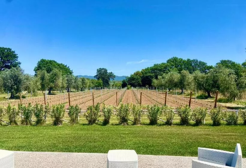 ホテル Agriturismo Re Di Fiori