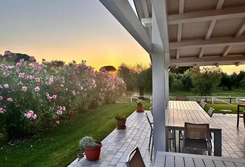 ホテル Agriturismo Re Di Fiori