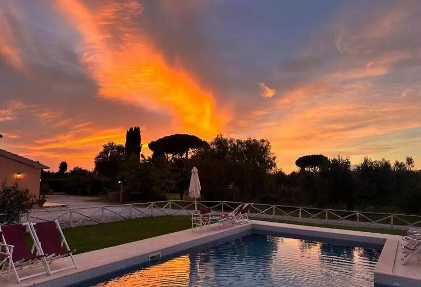 ホテル Agriturismo Re Di Fiori