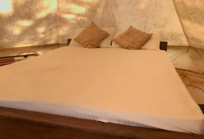 ホテル Salt Bay Kite And Dive Resort