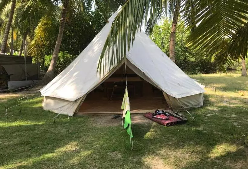 ホテル Salt Bay Kite And Dive Resort
