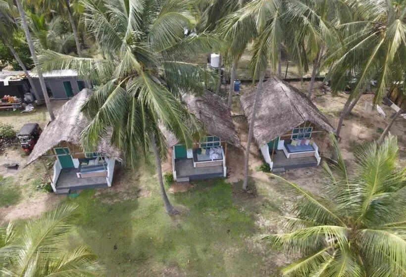ホテル Salt Bay Kite And Dive Resort