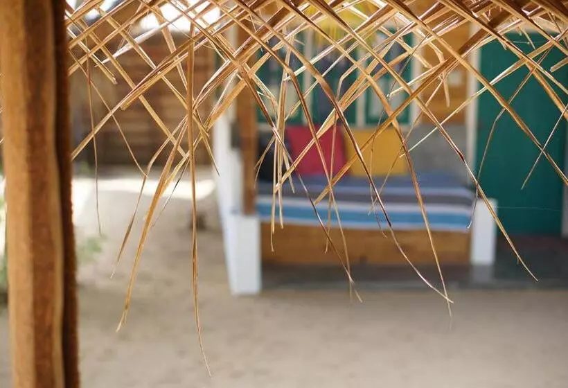 ホテル Salt Bay Kite And Dive Resort