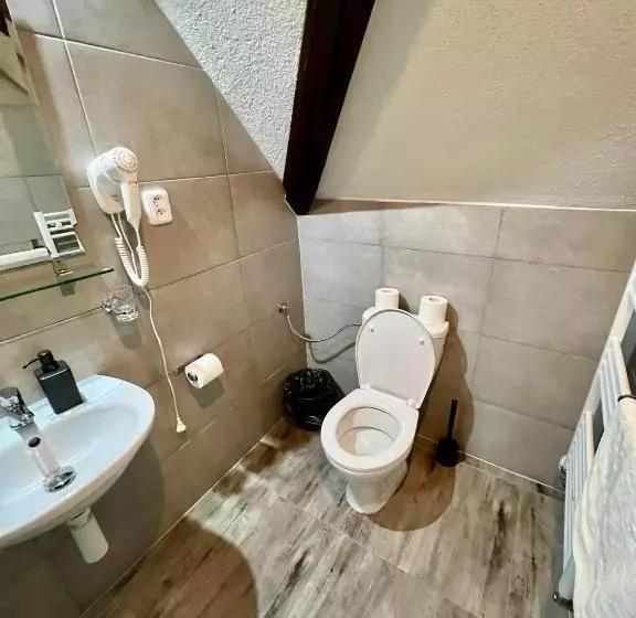هتل Jiřičná
