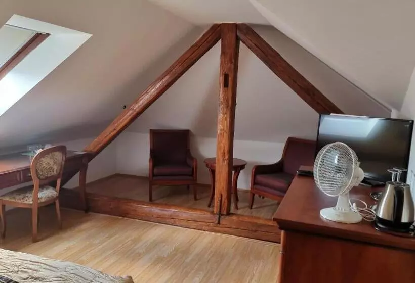 Hotelli Penzion U Dobrého Lva