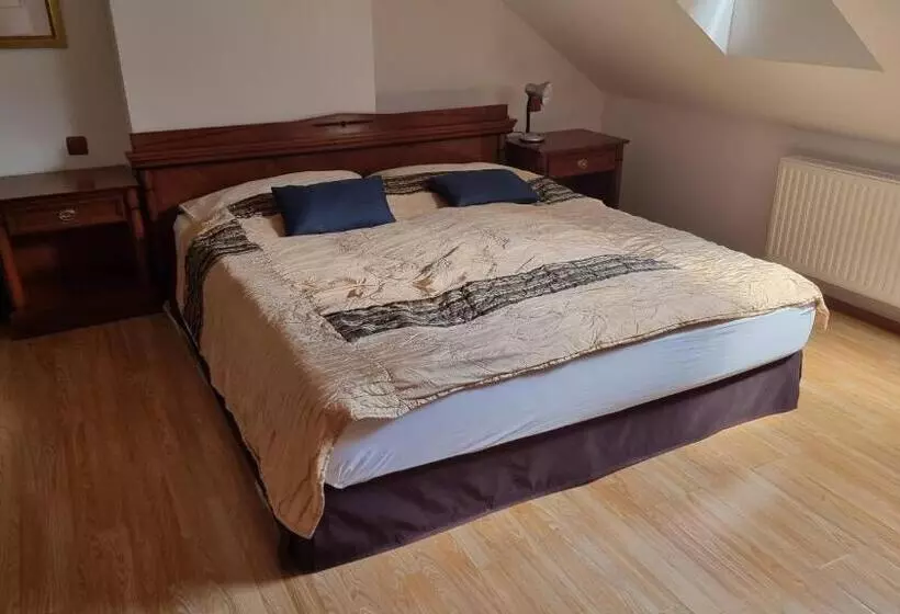 Hotelli Penzion U Dobrého Lva