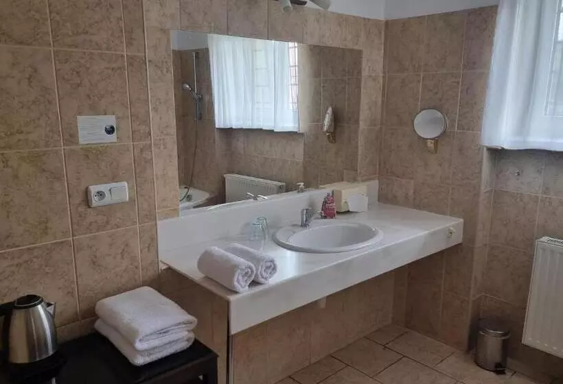 Hotelli Penzion U Dobrého Lva