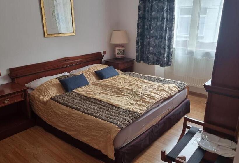 فندق Penzion U Dobrého Lva