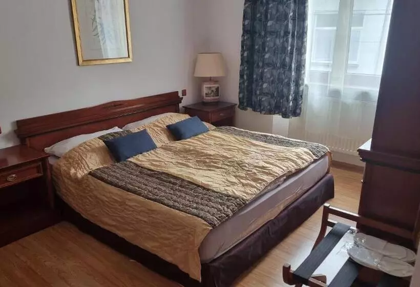 Hotelli Penzion U Dobrého Lva