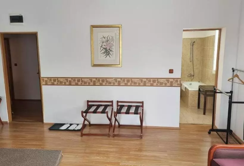 Hotelli Penzion U Dobrého Lva