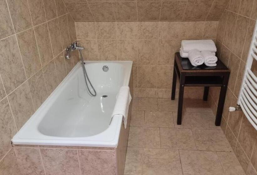 فندق Penzion U Dobrého Lva