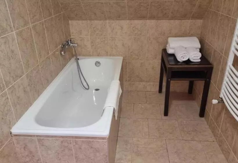 Hotelli Penzion U Dobrého Lva