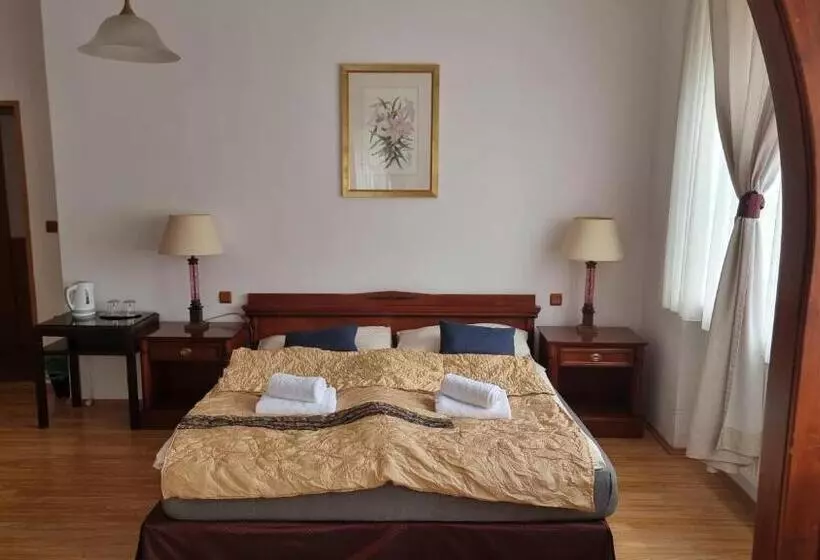 Hotelli Penzion U Dobrého Lva