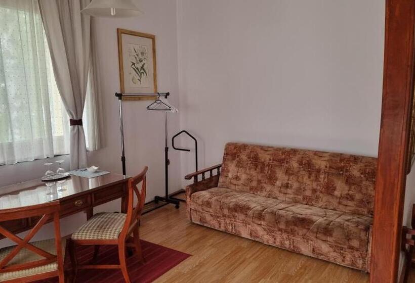 فندق Penzion U Dobrého Lva