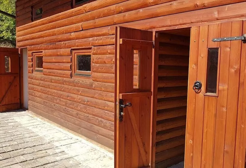 هاستل Dzajicaa Buk Rooms   Noahs Ark