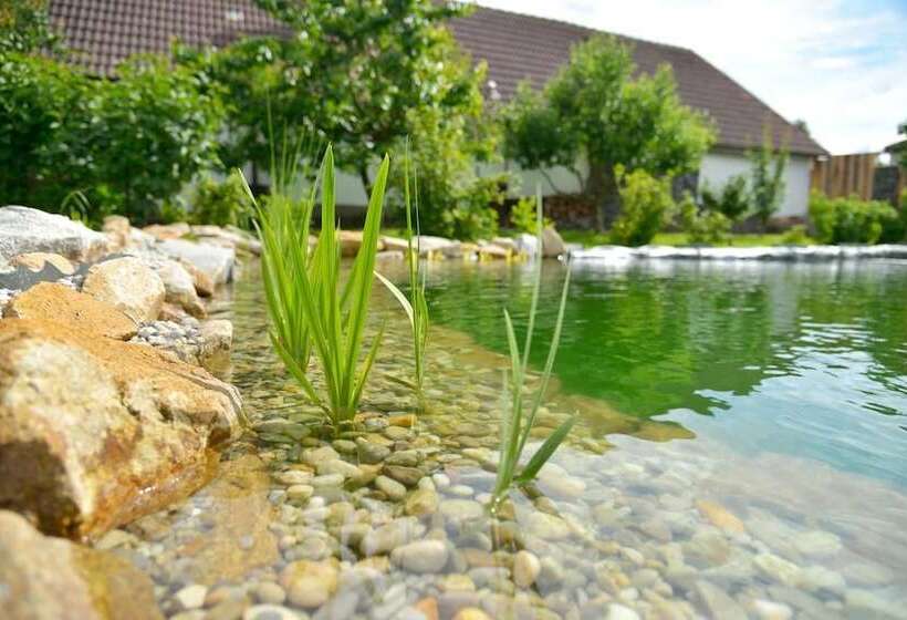 פנסיון Pivovarský Dvůr Lipan