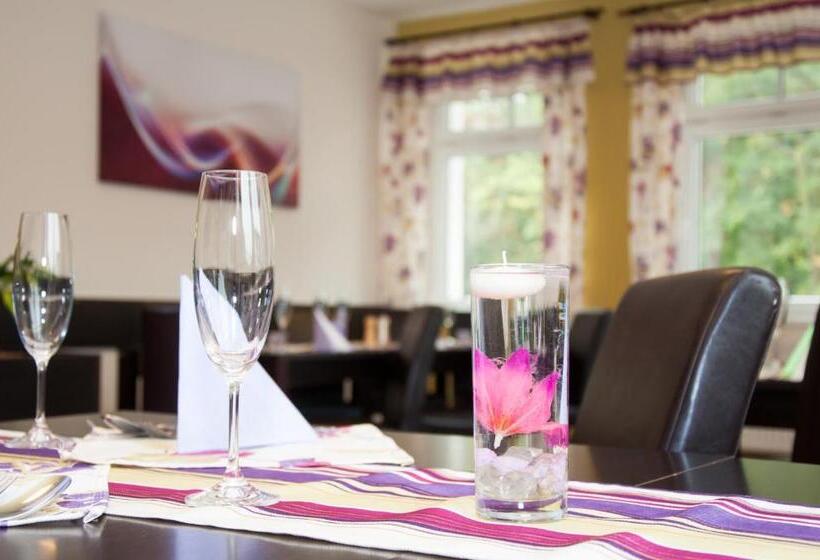 پانسیون Restaurace A Penzion Zděná Bouda