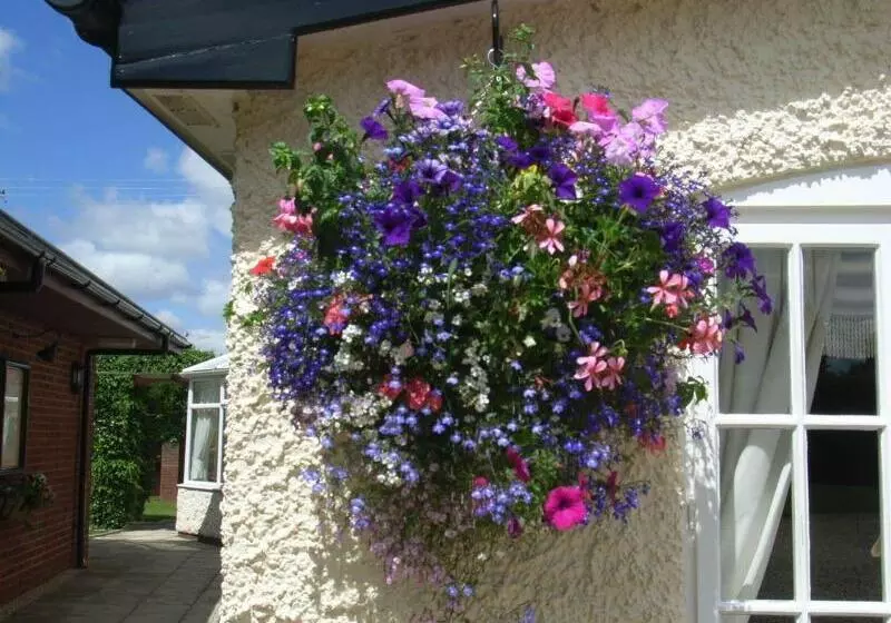 ホテル Brandon Lodge