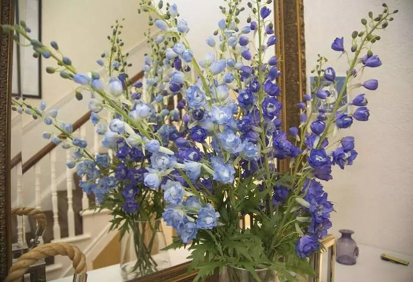 ホテル Carlton Court