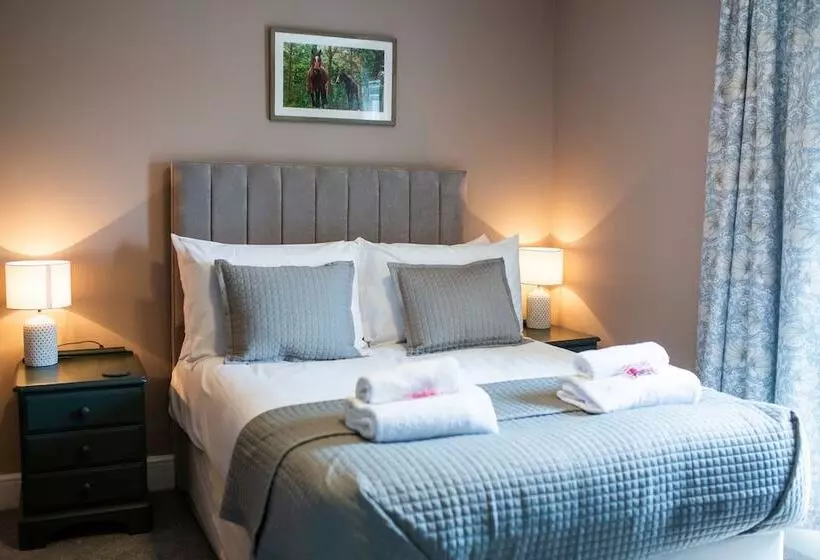 Отель Woodfalls Inn