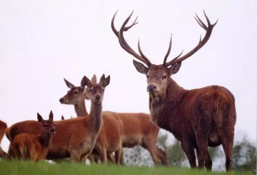 Отель Yarn Market