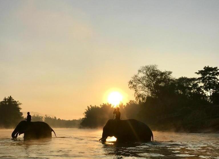 Szálloda The River Life Resort