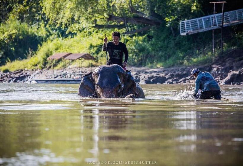 Szálloda The River Life Resort