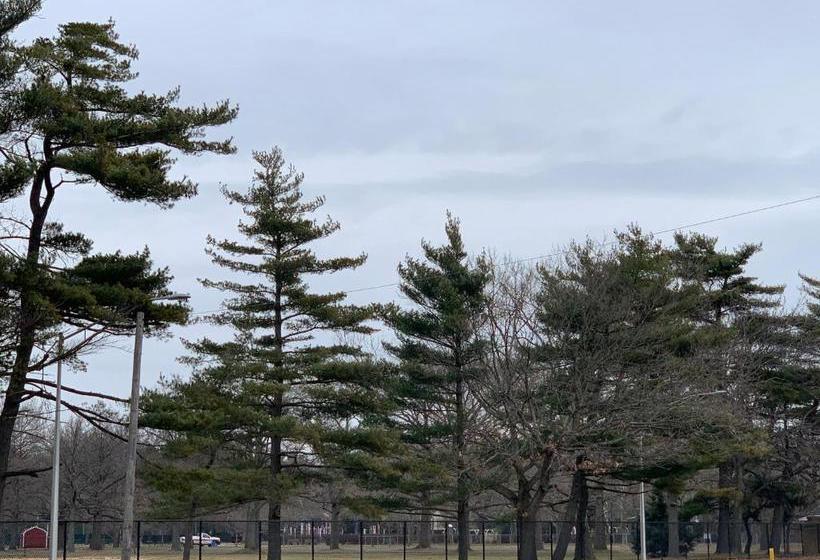 בית מלון כפרי Coliseum Inn & Suites Garden City Long Island