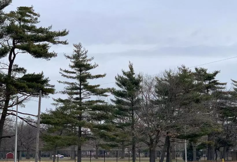 ホテル Coliseum Inn & Suites  Garden City Long Island