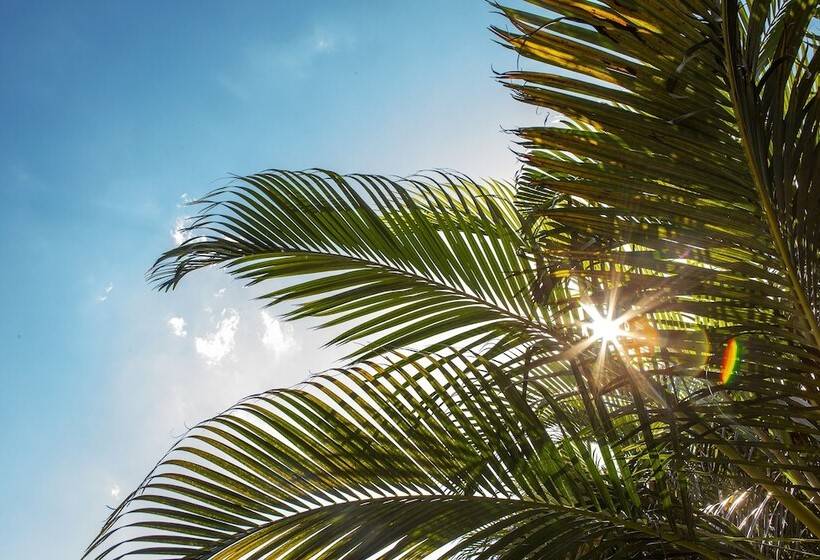 Hotel Suites Las Flores Maresias