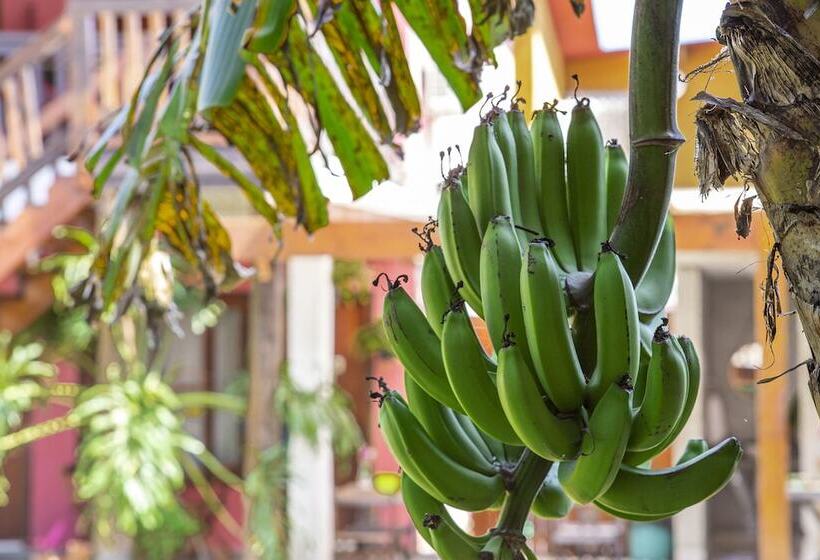 Hotel Suites Las Flores Maresias