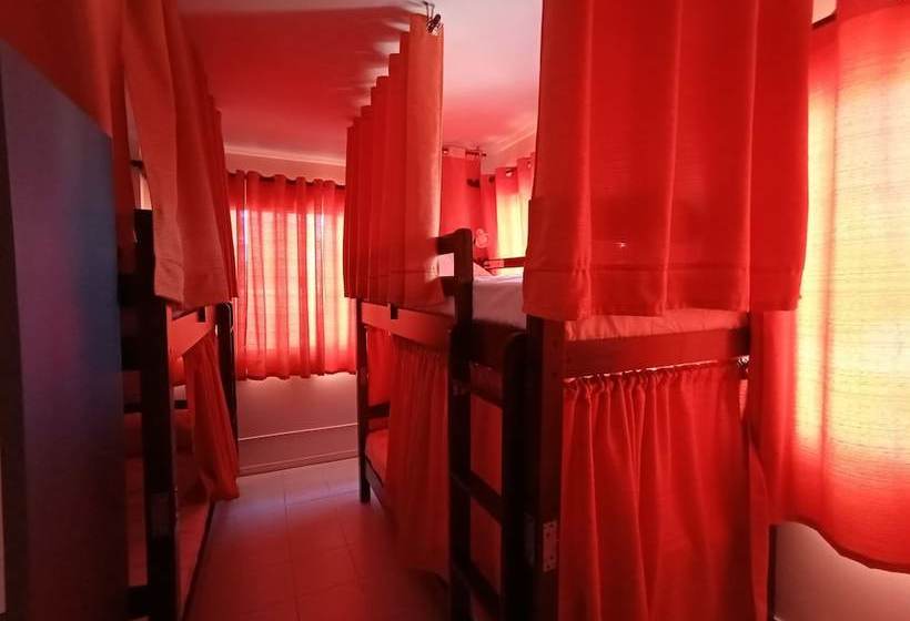 Pensjonat Cycling House Kura