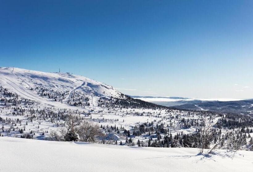 Skeikampen Servicesenter