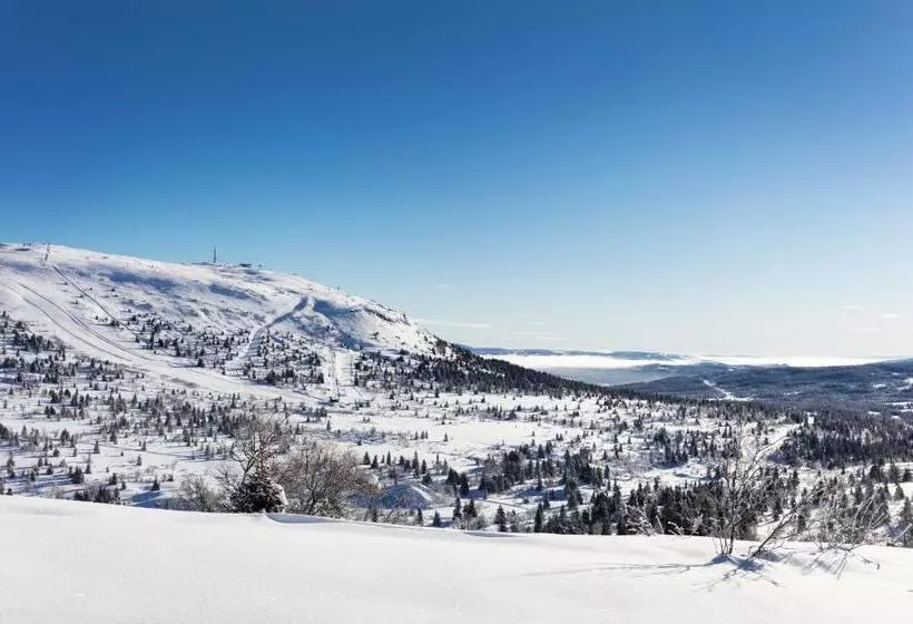 Skeikampen Servicesenter