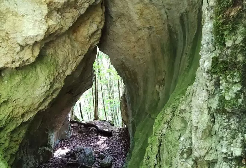 Apartment In The Middle Of Franconian Switzerland