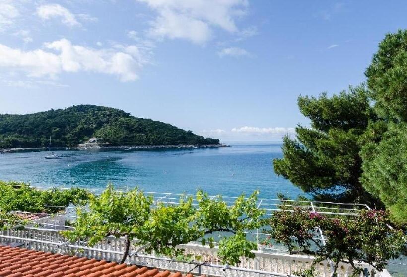 酒店 Apartments Franka Saplunara