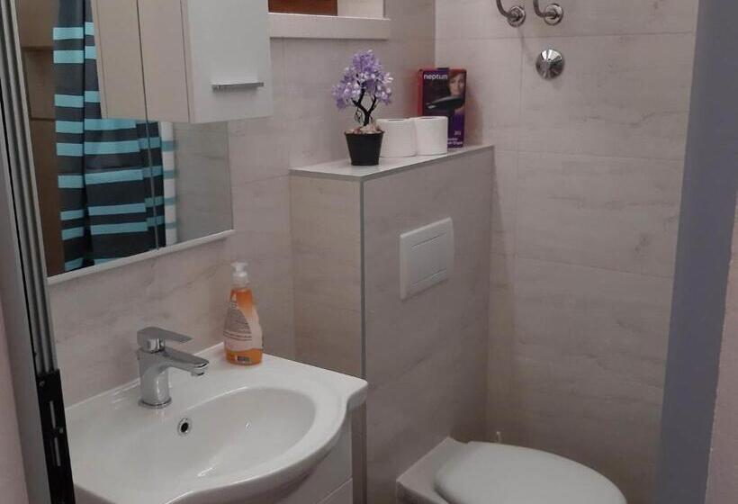 酒店 Apartments Franka Saplunara